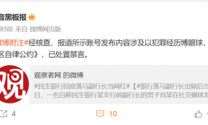 27.5亿假理财案余波：民生银行一支行前副行长肖野被禁言