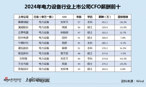 电力设备行业CFO薪酬榜：盛弘股份原董事违规超比例减持 CFO杨柳279万年薪上榜、涨薪过百万