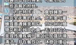 网传连云港海边出现大量疑似苍蝇的昆虫，景区：是食蚜蝇，对人无害，已全面消杀