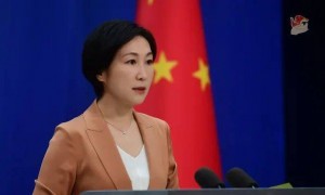 外交部：中巴合作不针对第三方